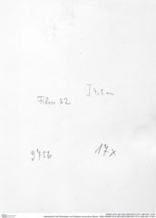 Historisches Foto (Rückseite) von Prosopon verrucosum (Reuss, 1858) (NHMW-AFW-GEO-BACHMAYER-FOTO-1990-0041-3756)